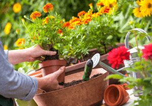 White Rock Landscaping