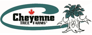 Cheyenne tree farm